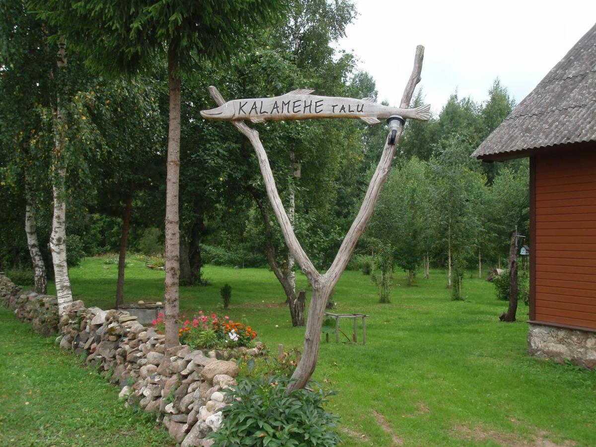 Kalamehe Farmstay Alatskivi Exterior foto